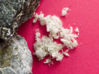 Asbestos Awareness IATP Course