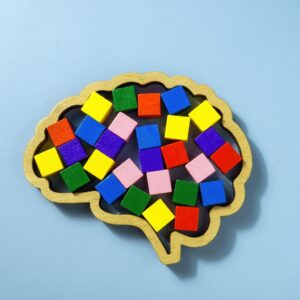 Wooden shape of a brain filled with different coloured cubes to represent neurodiversity