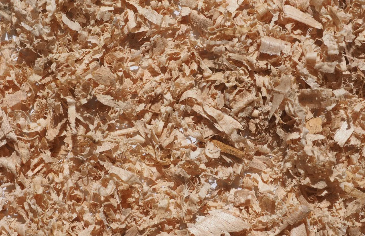 wood dust