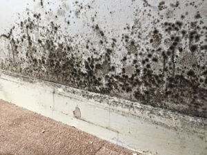 Awaab's Law thumbnail