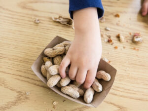 Benedicts Law Training image - a child's hand reaching into a container of shelled peanuts