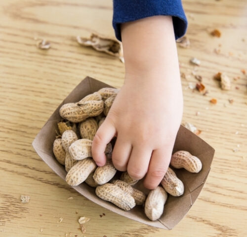Benedicts Law Training image - a child's hand reaching into a container of shelled peanuts