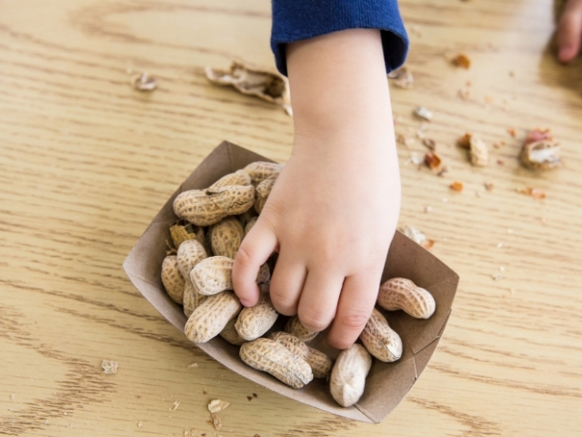 Benedicts Law Training image - a child's hand reaching into a container of shelled peanuts