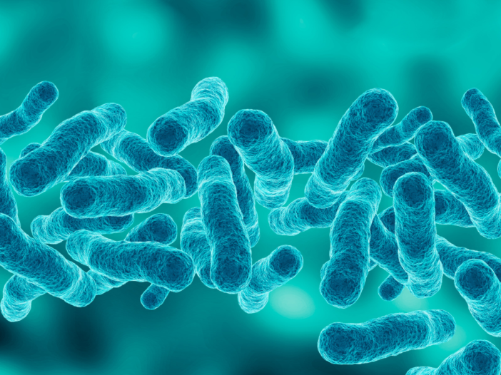 legionella bacteria to represent legionnaires risk assessment