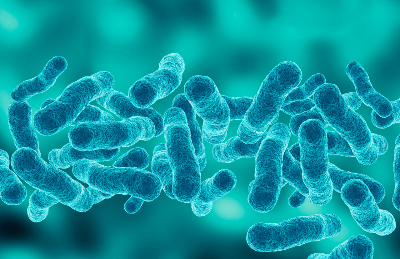 legionella bacteria to represent legionnaires risk assessment